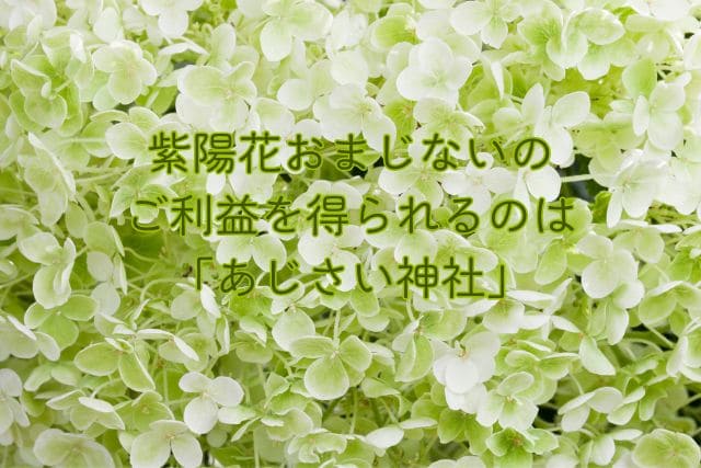 紫陽花おまじないのご利益を得られるのは「あじさい神社」