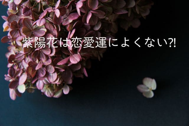 紫陽花は恋愛運によくない⁈